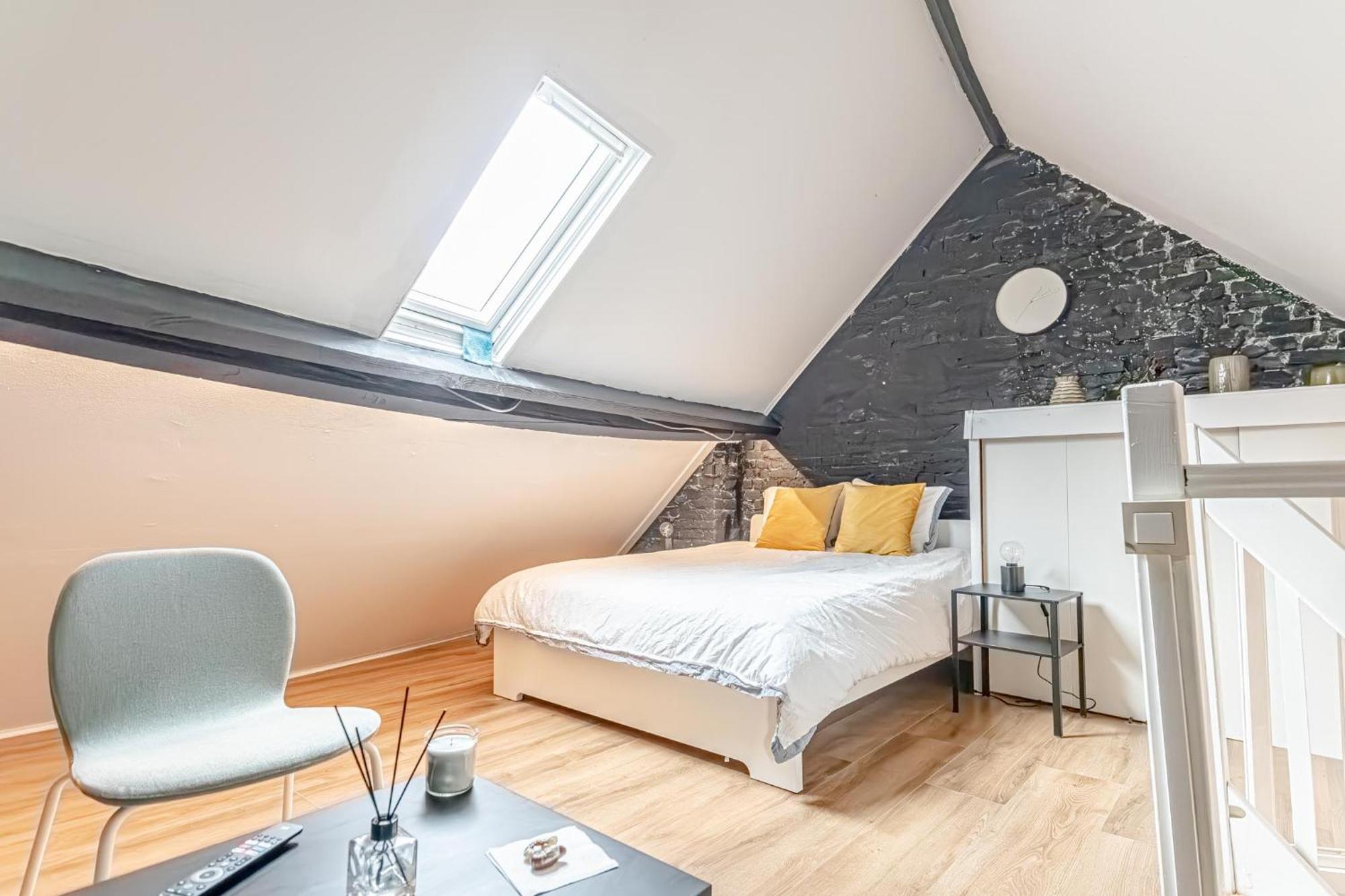 Spacious Shared 5Br Apt In The Heart Of Gent Εξωτερικό φωτογραφία